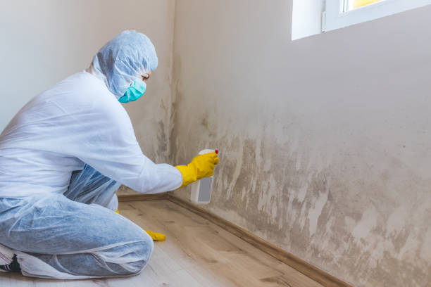 Licensed Hvac And Air Duct Mold Remediation service in Manchester, MI - Car Mold Remediation